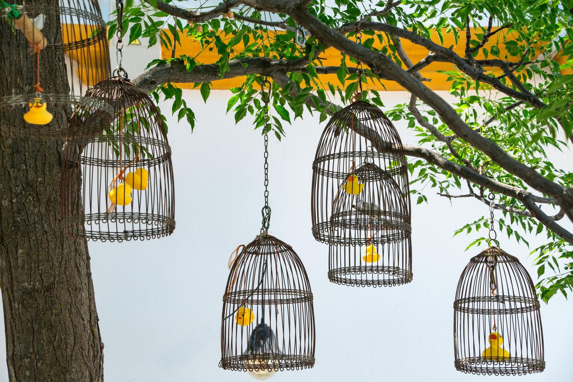 Guilded Birdcages hanging from tree branches beside a trunk, with yellow ducks and green leaves.