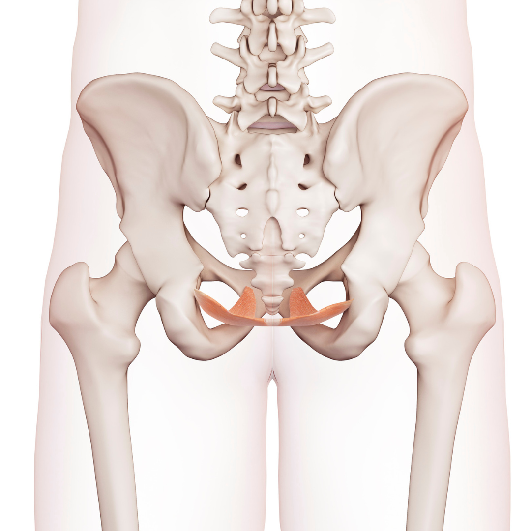 stabiele bekkenbodem, bekkenbodem spieren, Pilates, 