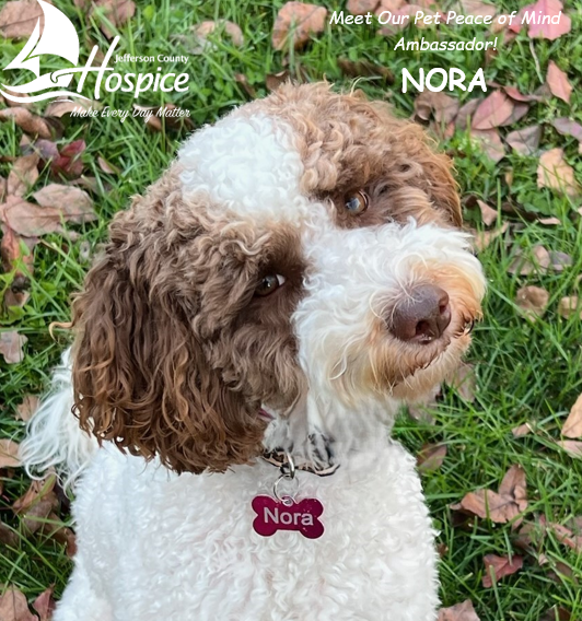 An advertisement for hospice pet peace of mind ambassador cash