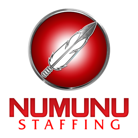 Numunu Staffing footer logo