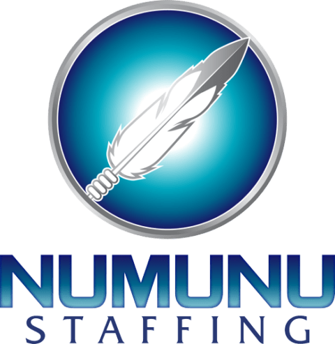 Numunu Staffing logo