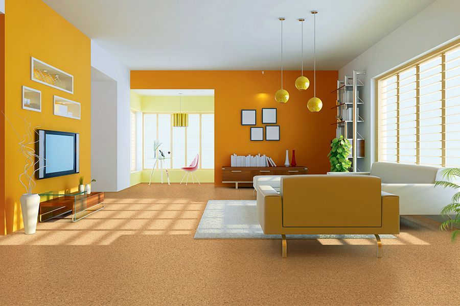 Bright, modern living room with orange accent wall, large windows, sofa, TV, and sunlight on the floor.