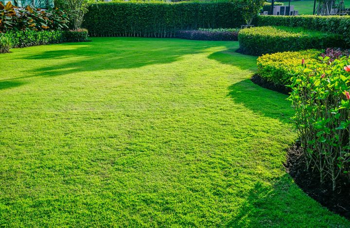 Lush, manicured green lawn with vibrant flower bed borders.