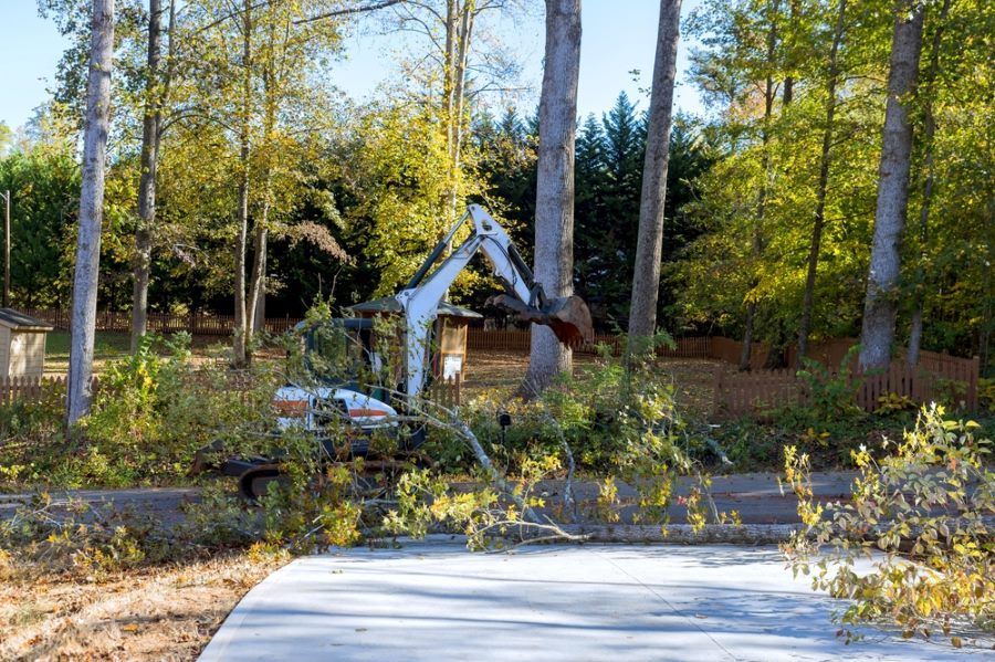 A White Excavator Is Cutting Down Trees In A Forest — Tropical Tree Solutions in Machans Beach, QLD