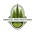 Arborist in Cairns