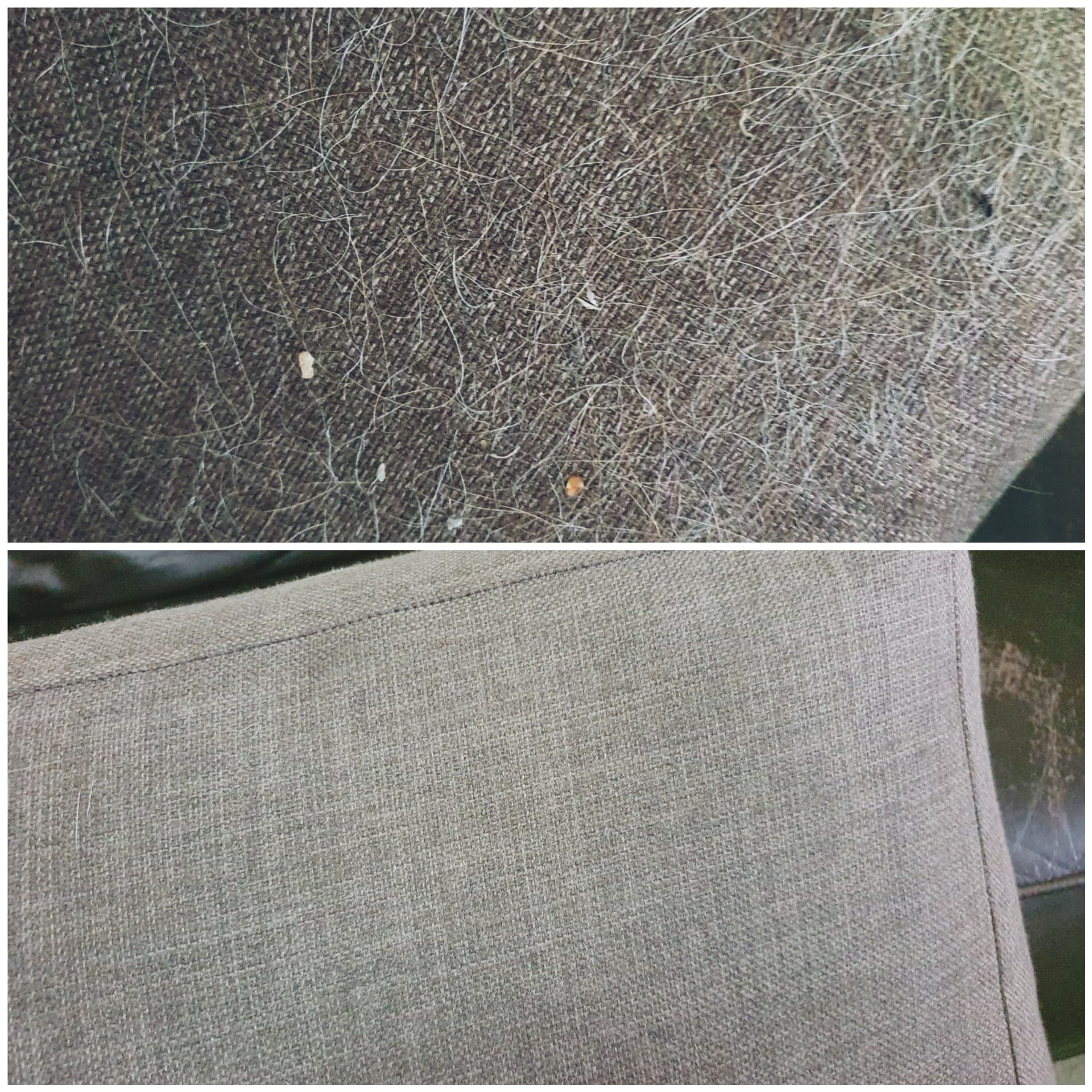 A before and after picture of a couch with a lot of hair on it  — Carpet Cleaning in Maitland, NSW