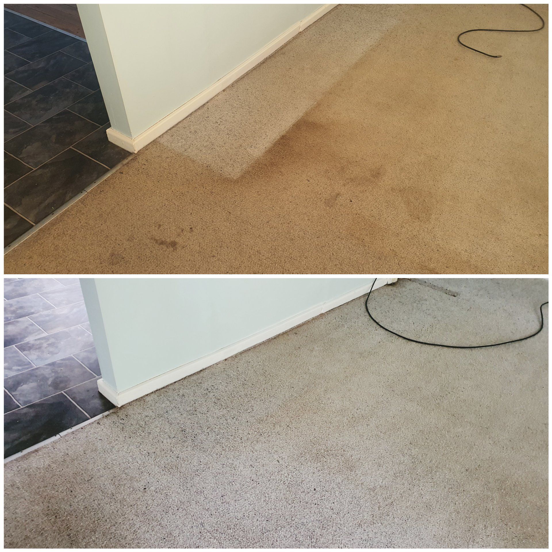 A before and after picture of a carpet being cleaned  — Carpet Cleaning in Maitland, NSW