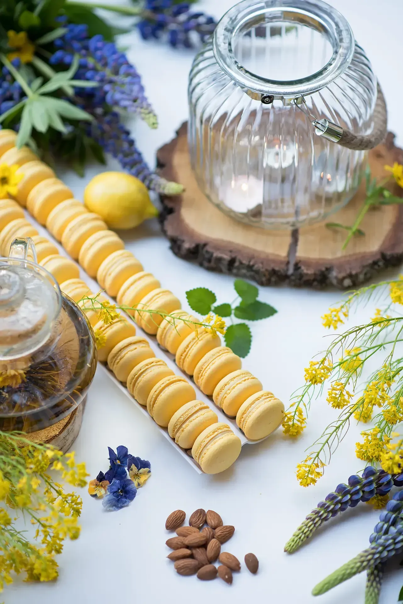 Sausainiai macarons