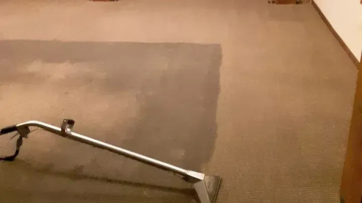 A floor cleaning wand in mid-stroke on a beige carpet, revealing a dark, cleaned path against the lighter, soiled area.