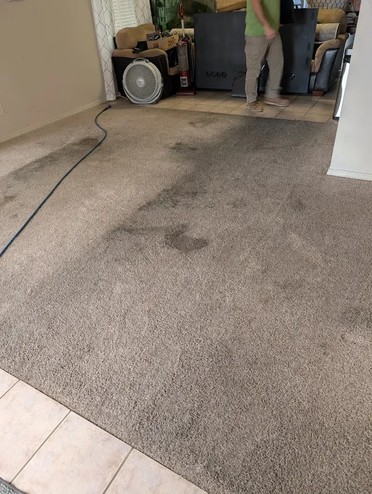 A person cleans a dirty, stained carpet in a living room while a fan runs in the background.
