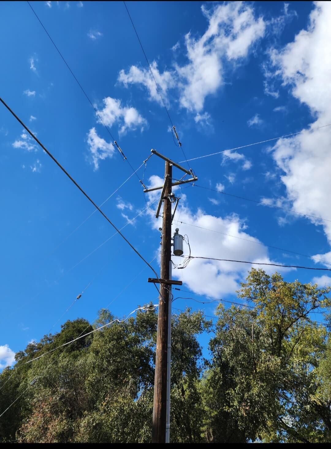 A utility pole stands against a bright blue sky with scattered clouds, surrounded by the tops of green trees.