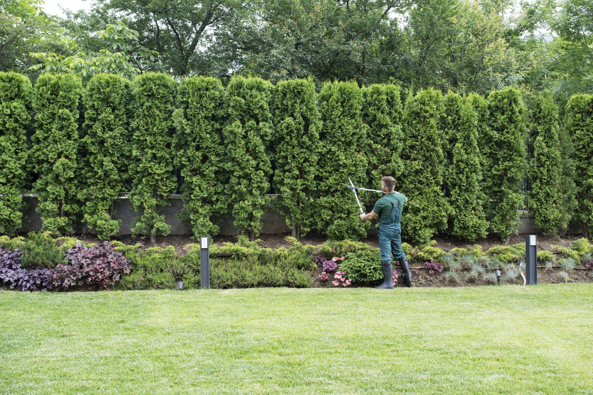 Landscaping Outside House — Akron, OH — PL Landscape Construction