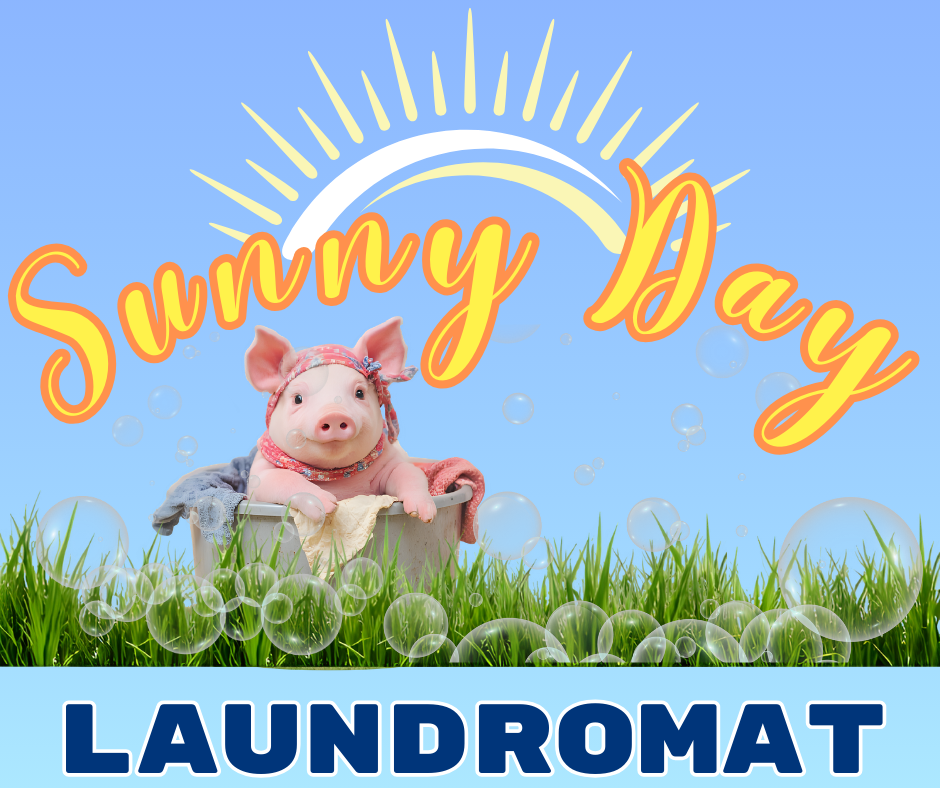 Sunny Day Laundromat pig and sunburst logo