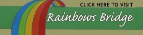 A banner with a rainbow and the words click here to visit rainbows bridge