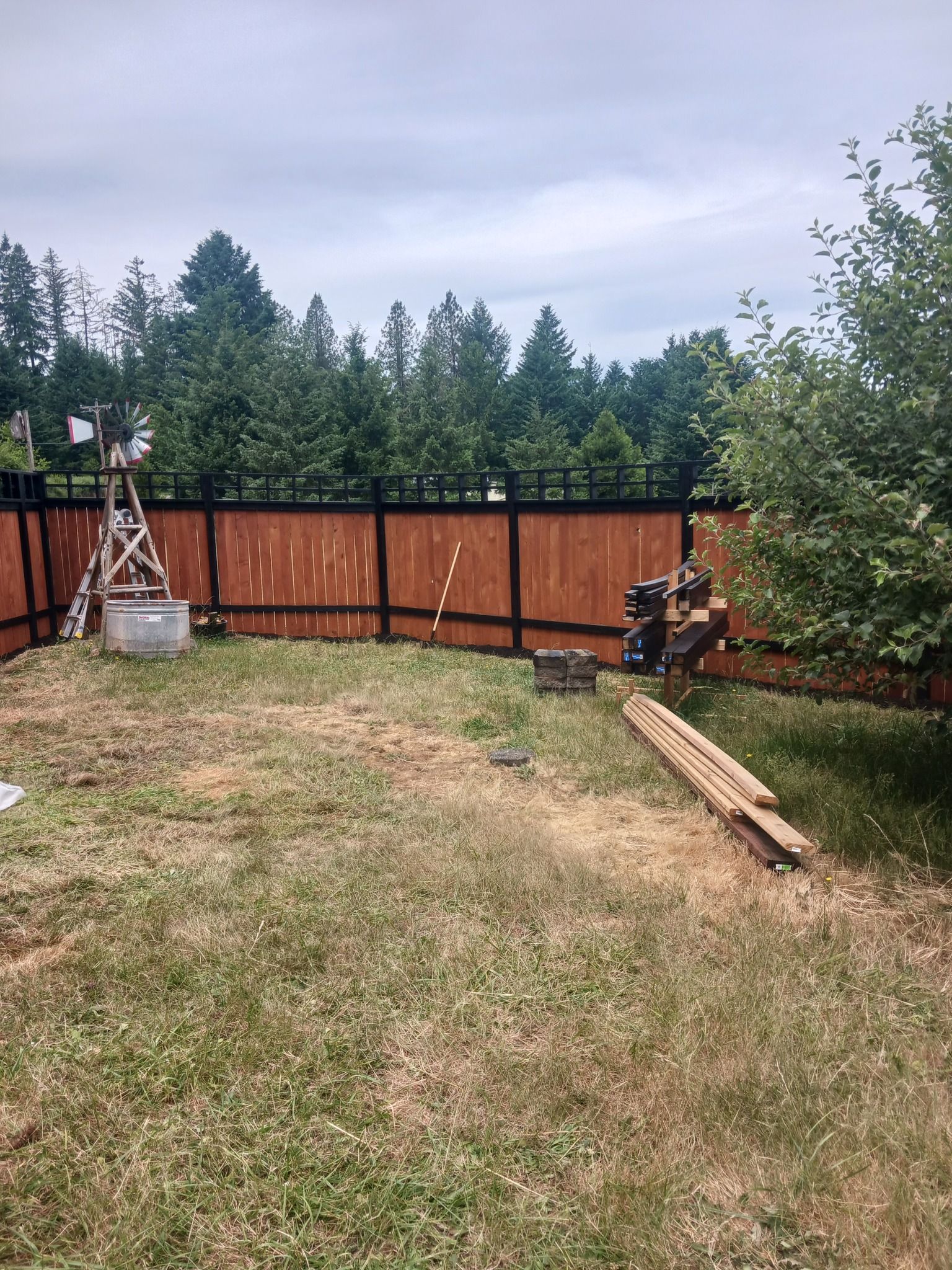 A backyard with a wooden fence and a ladder in the grass.