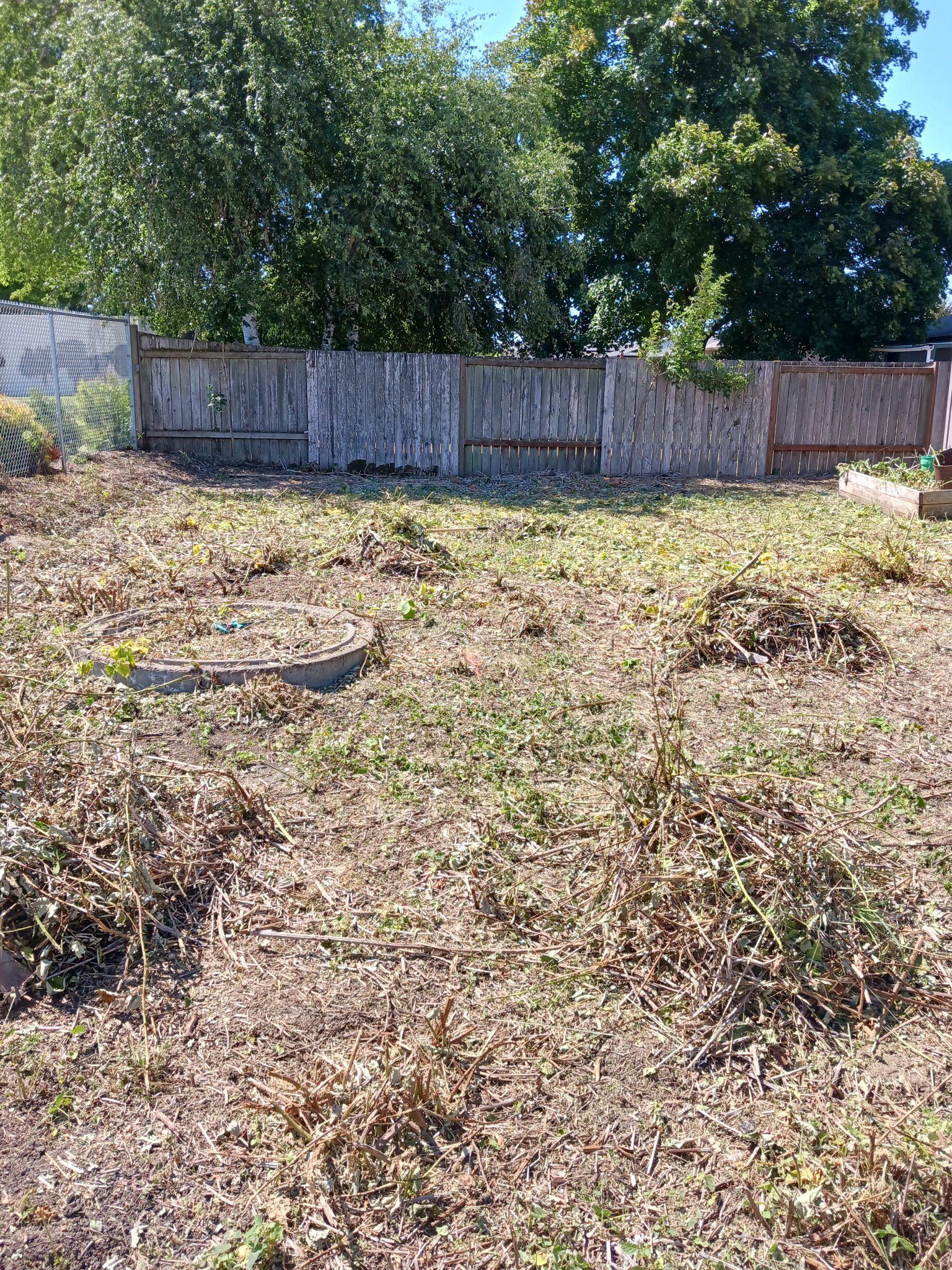 There is a fence in the background and a lot of grass in the foreground.