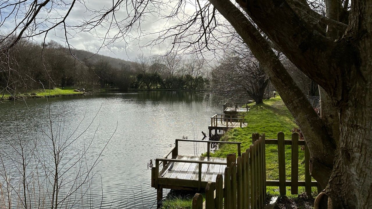 A large body of water surrounded by trees and a wooden fence.
