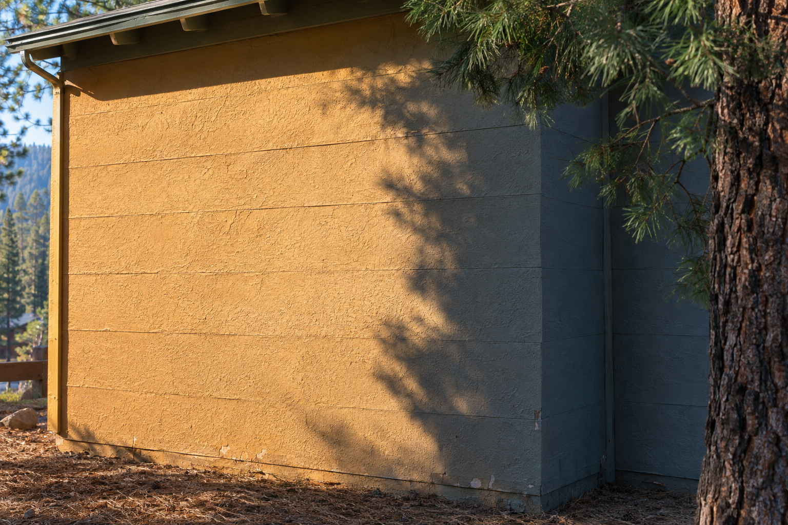 The same paint color reading differently in direct sun versus tree shade on a Big Bear home