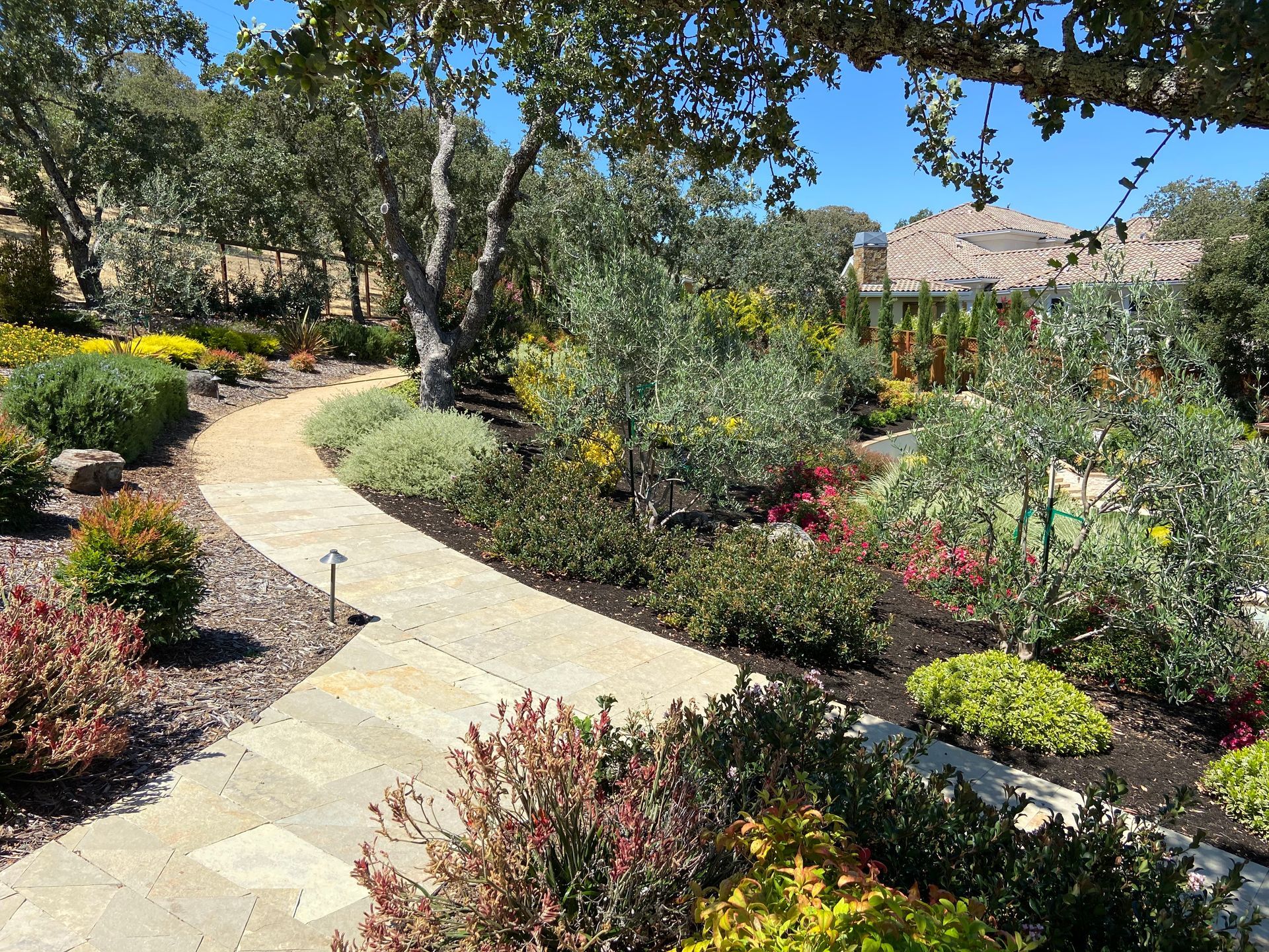 Landscaped garden with paver walkways by Turfworks Inc., the best paver contractor & landscaping company in Vacaville, CA