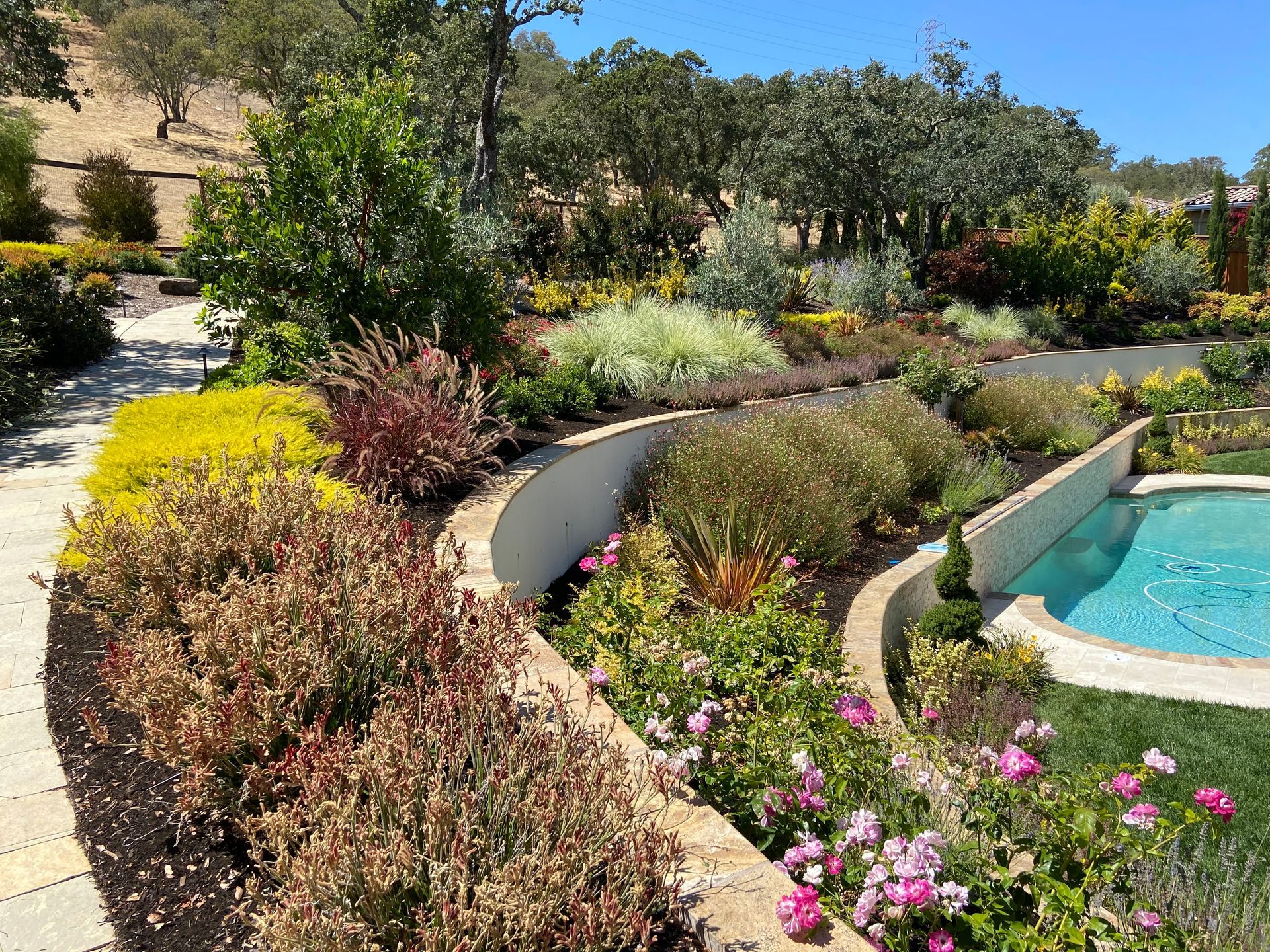 There is a swimming pool in the middle of the garden | Landscape Design in Davis, CA