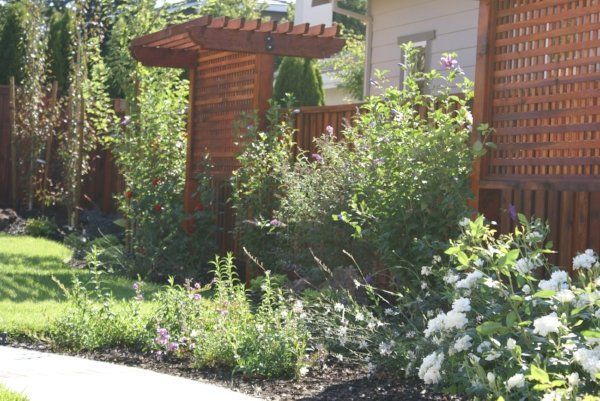A wooden pergola & wooden fence in the middle of a garden crafted by Turfworks Inc. - Landscaping Company in Vacaville, CA