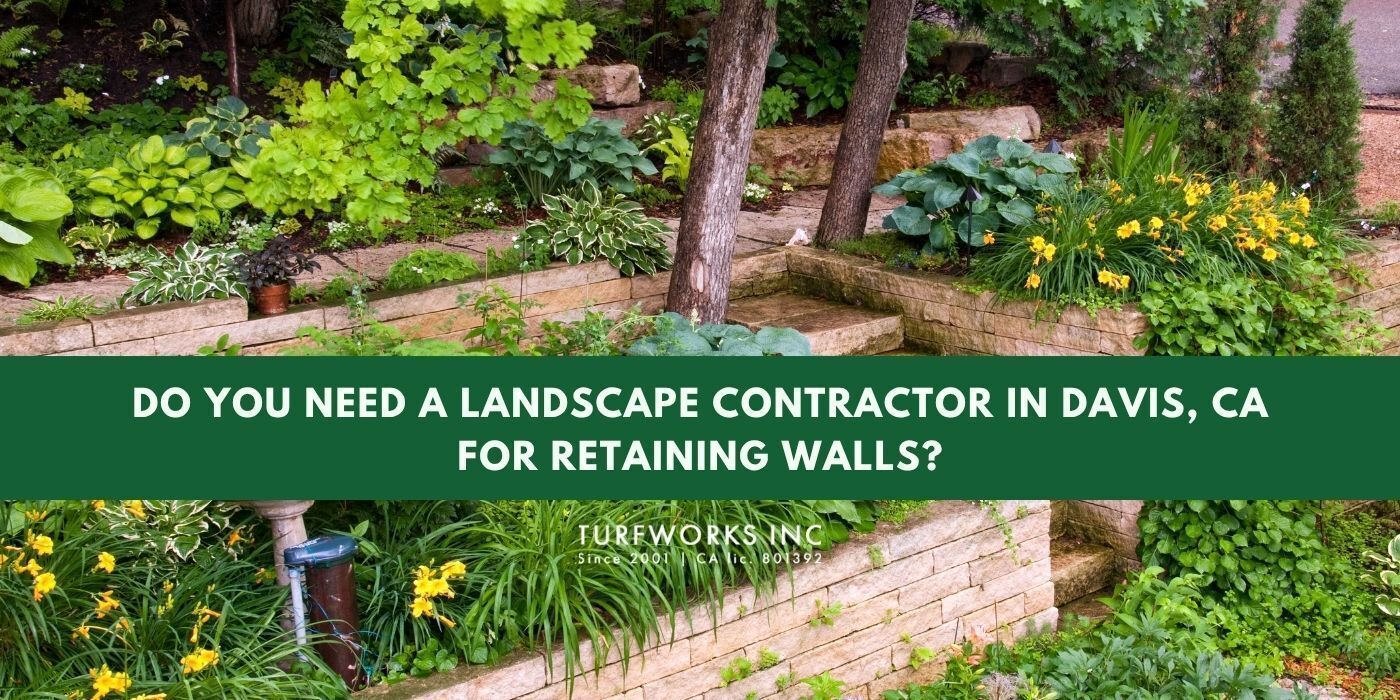 Stone retaining wall garden and a Turfworks Inc headline on retaining walls in Davis, CA.