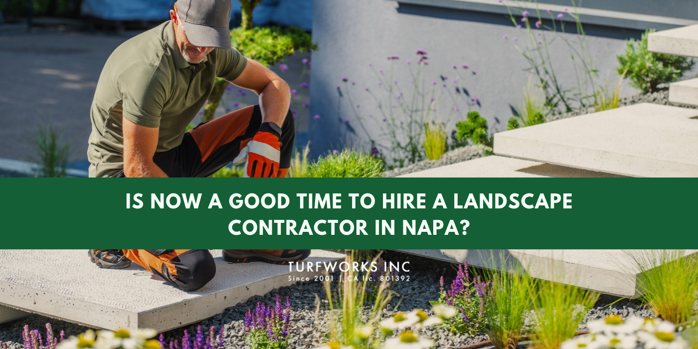 Landscaper working with Turfworks Inc branding; blog on when to hire a landscape contractor in Napa.