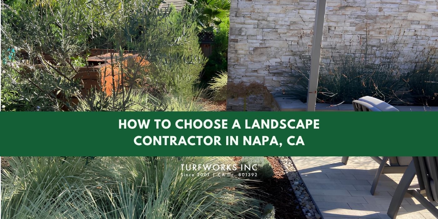Paver patio with pergola. Blog cover: How to Choose a Landscape Contractor in Napa CA