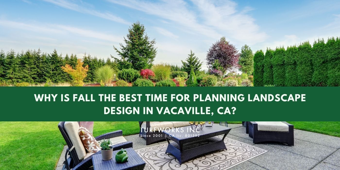 Landscaped backyard with outdoor furniture and Turfworks Inc branding with blog title.