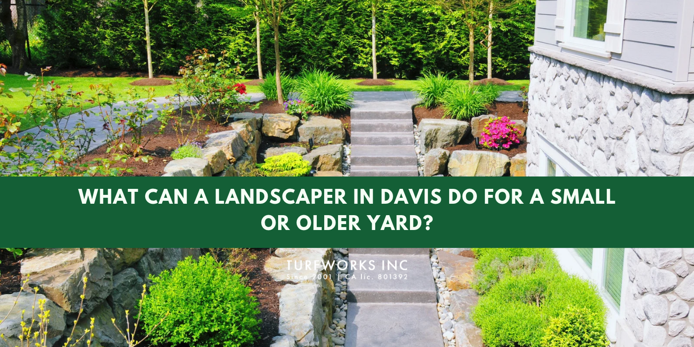 Turfworks Inc blog header: stone pathway, boulders, and lush plants in a landscaped yard.