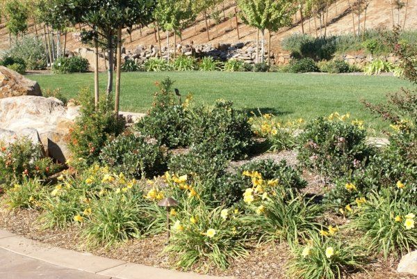 Scenic garden landscape with rocks and plants designed by the landscaping expert in Vacaville, CA - Turfworks Inc. 