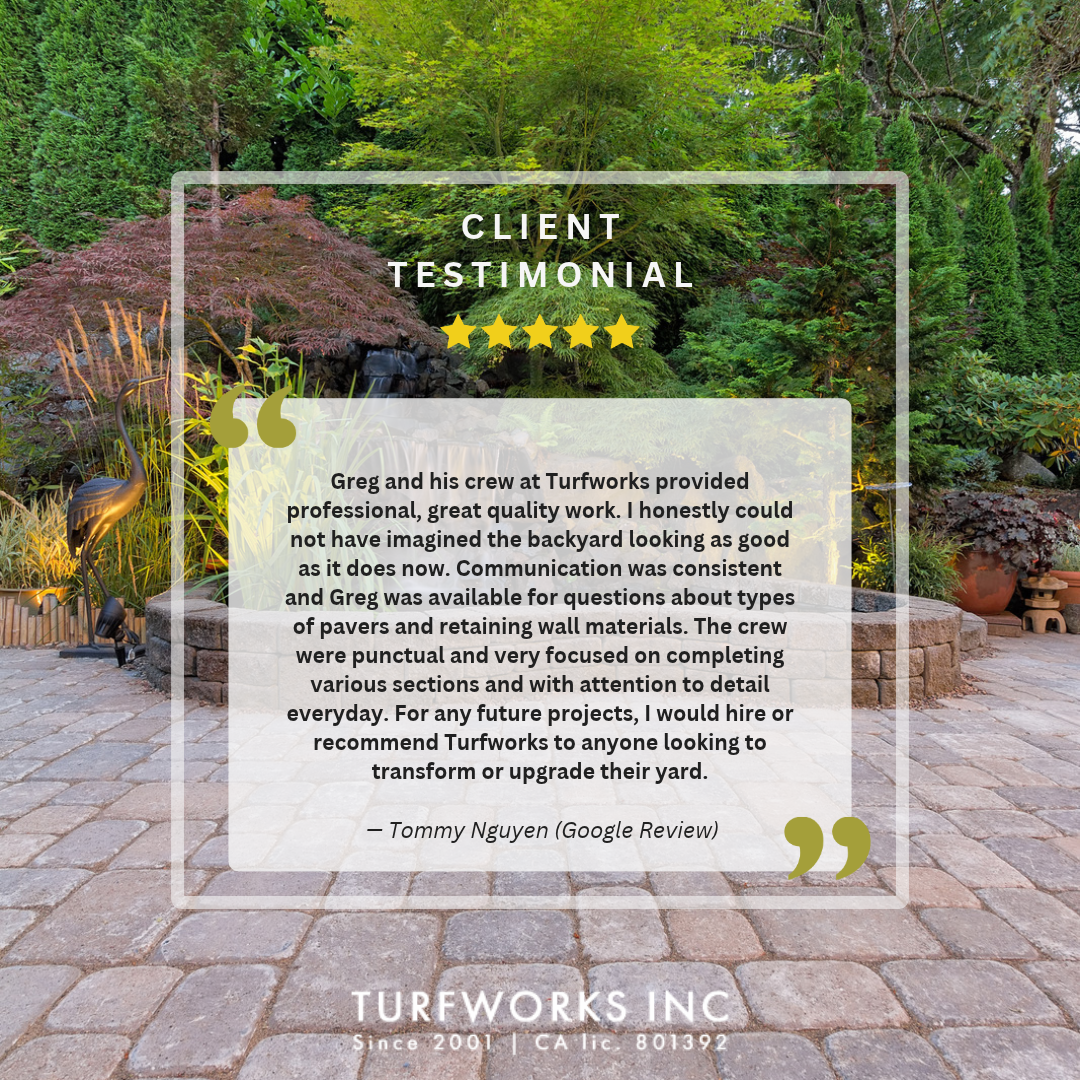 Five-star review for Turfworks Inc over a landscaped backyard with a patio, curved retaining wall, and lush greenery.