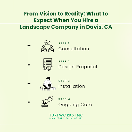 Steps to expect when hiring a landscape company in Davis, CA: consultation, design proposal, installation, and ongoing care.