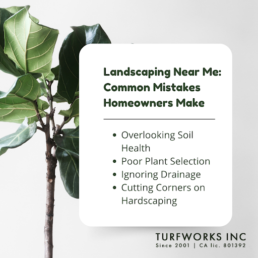 Landscaping Near Me: Common Mistakes Homeowners make lists of soil health, plant selection, drainage, and hardscaping issues.