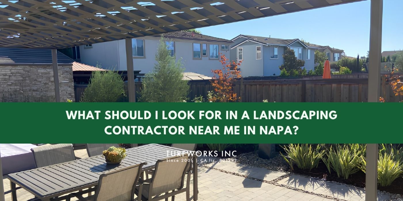 Patio landscaping in Napa with the text “What should I look for in a landscaping contractor near me.
