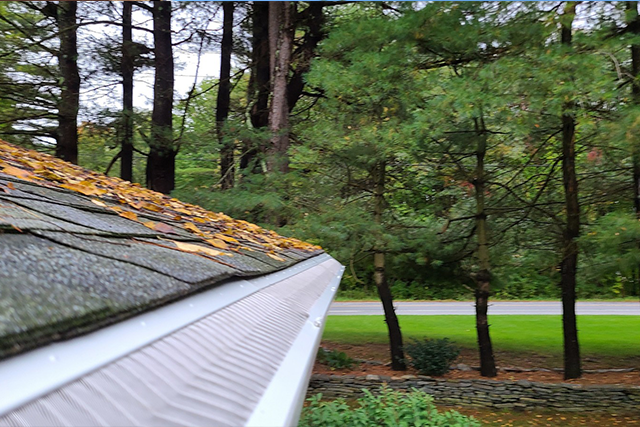 Gutter filled with debris on a roof with a forest backdrop and green lawn.