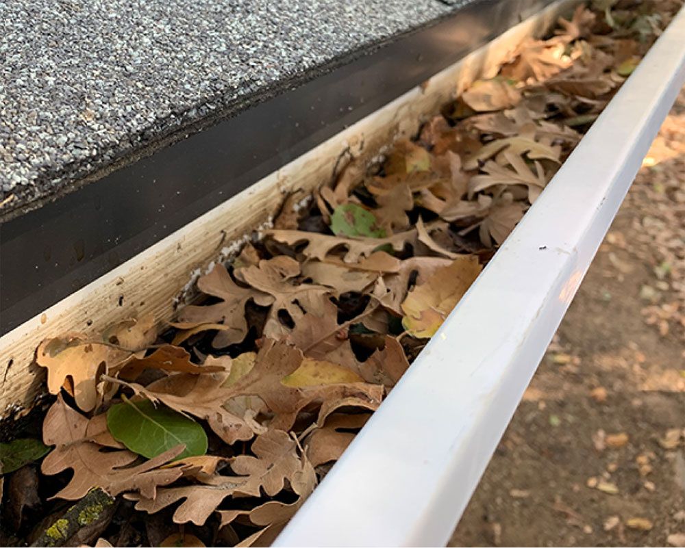 Gutter filled with dry brown leaves, next to a black roof and white trim.