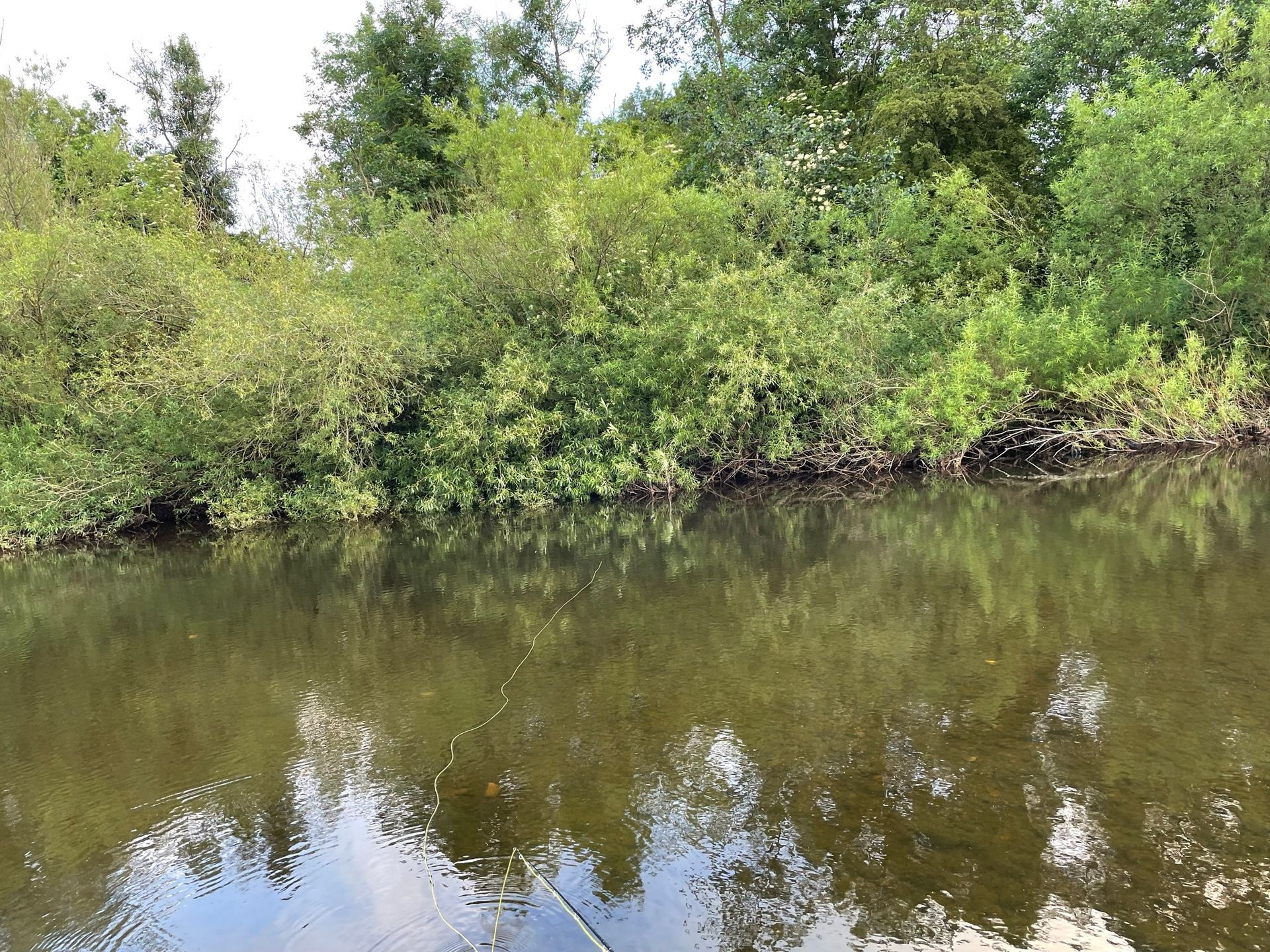 Hawes Willows pool