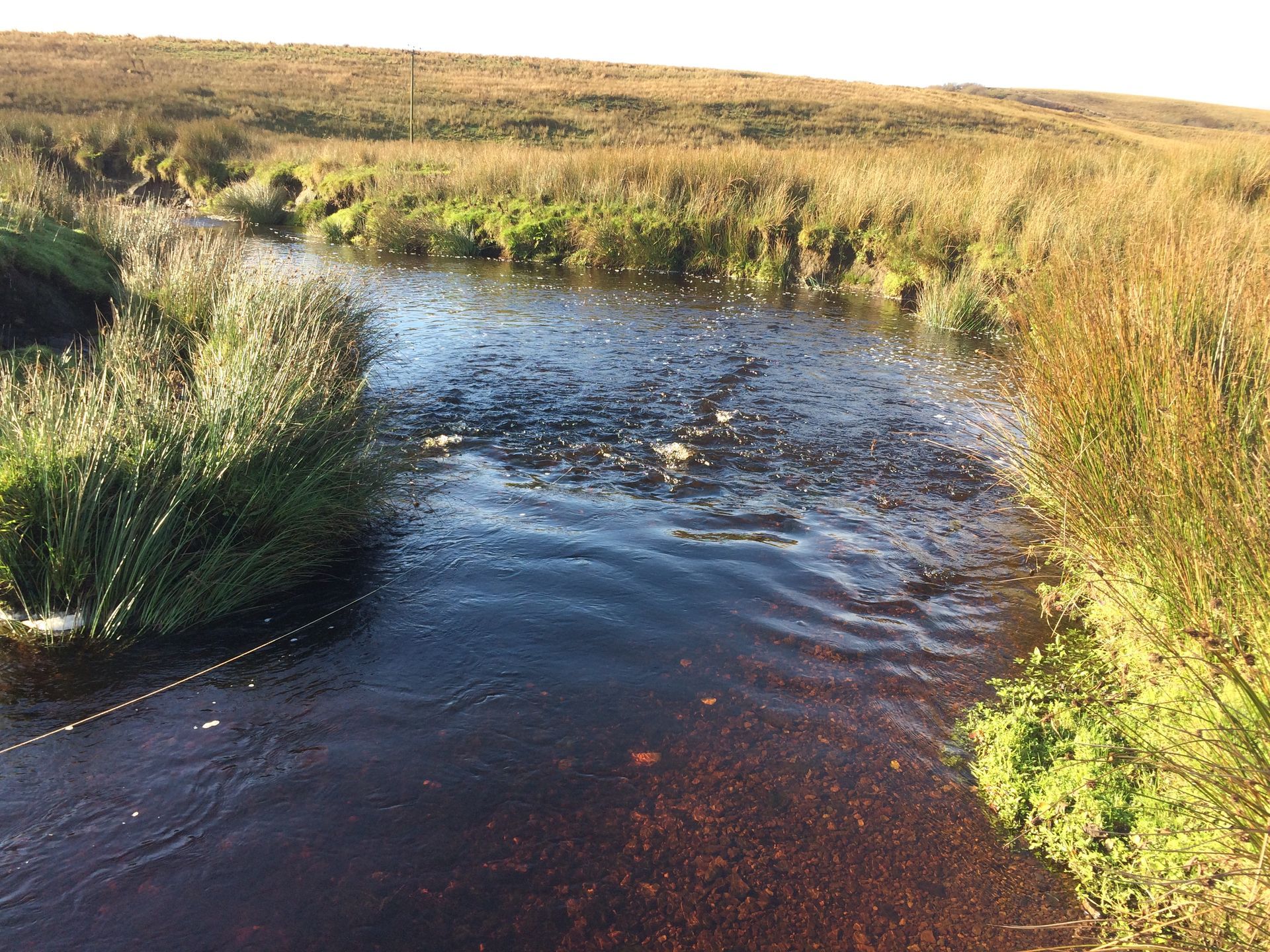 River Ure at Blades