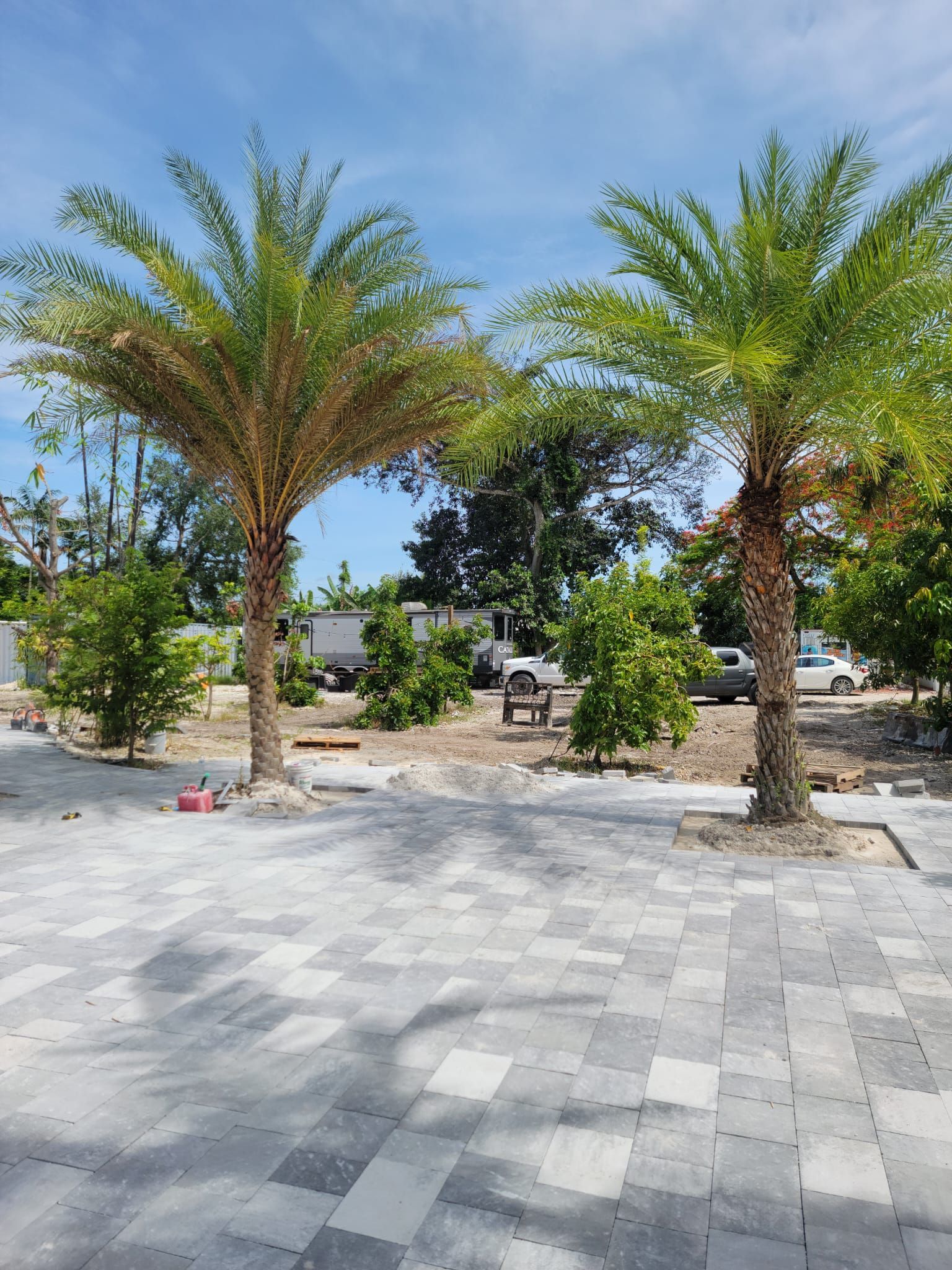 There are two palm trees in the middle of a driveway.