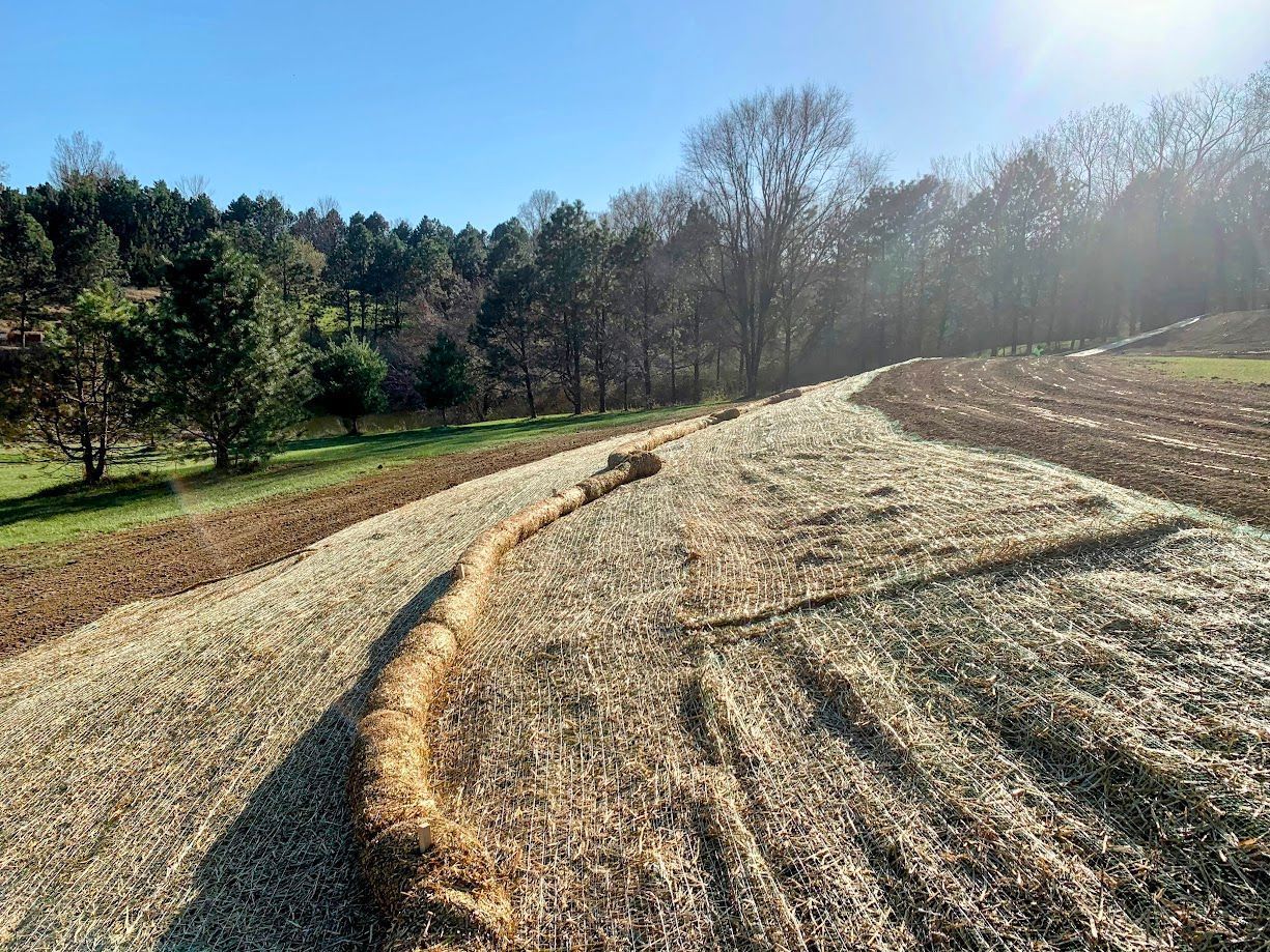 Field of straw with a straw barrier, trees in the background, sunny day.