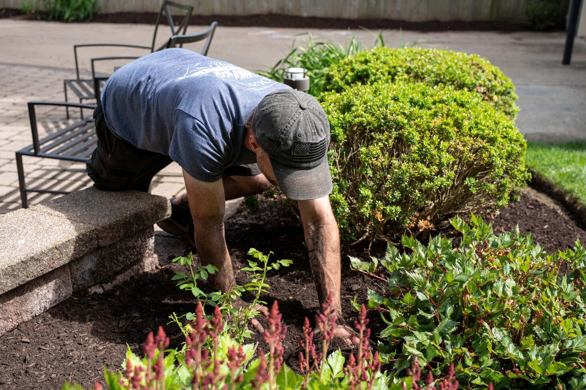 Landscaping