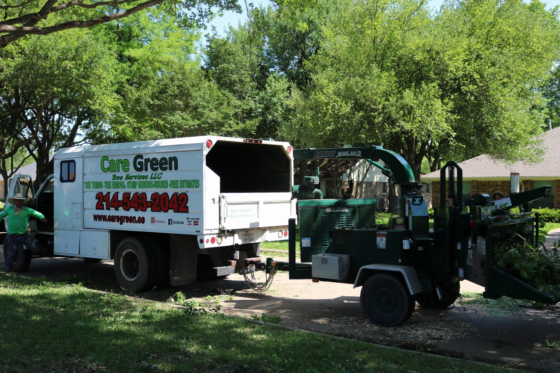 1 Dallas Tree Services Arborist in Dallas [FREE ESTIMATES]