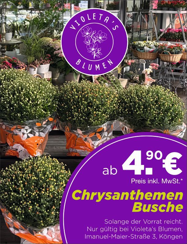 Schuhverkaufsposter: „Verkaufsoffener SonnTag“, 20% auf alles, 20.09.2026, mit Schuhen und Straße in Königen.