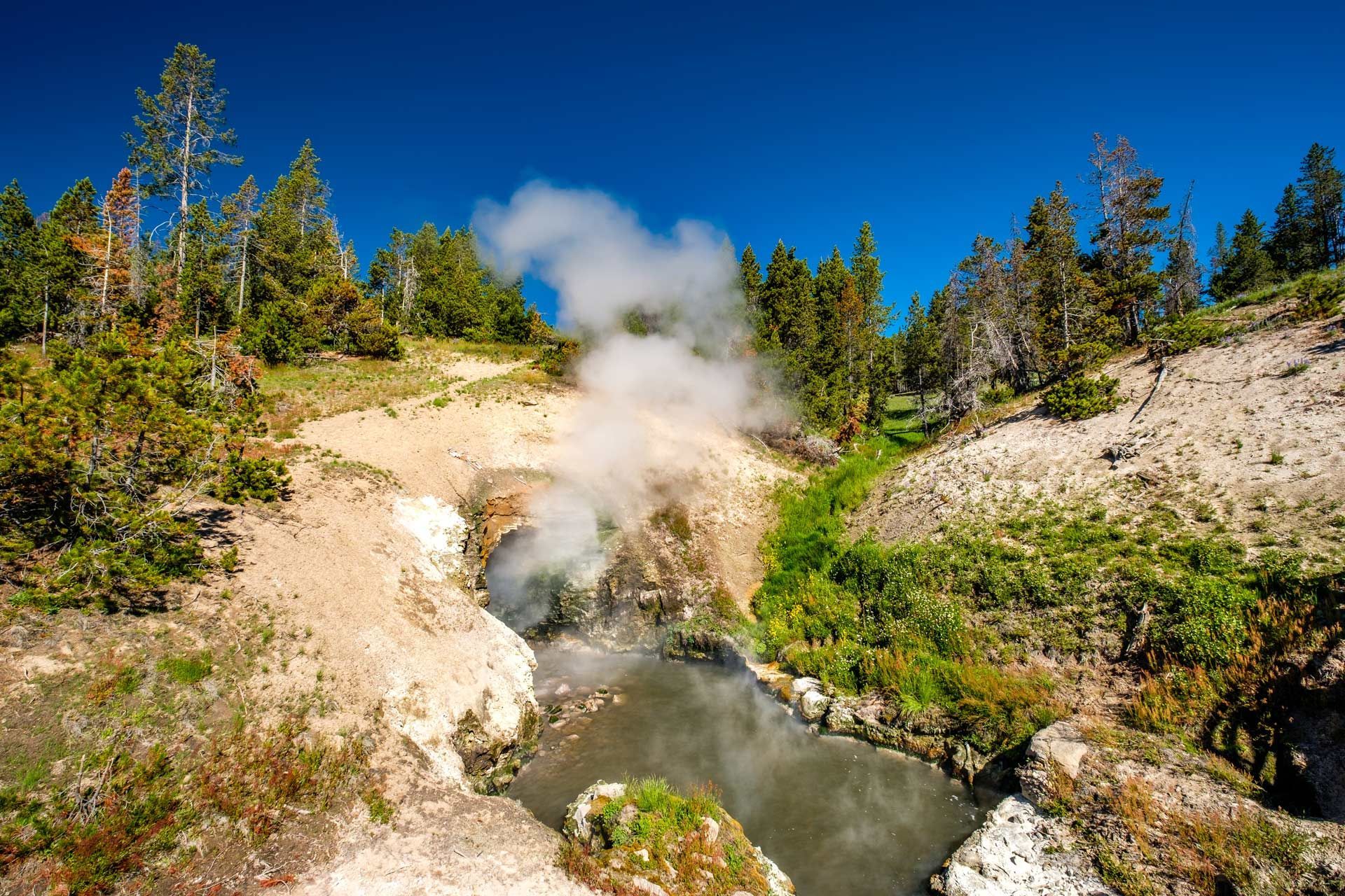 Steaming geothermal pool in a rocky forested landscape under a bright blue sky