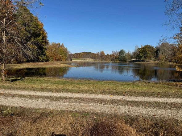Calm lake under a clear blue sky, with autumn trees and a gravel path in the foreground