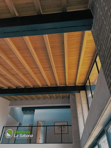 Cocina moderna con armarios de madera, techo de madera oscura y grandes ventanales con vistas a la vegetación.