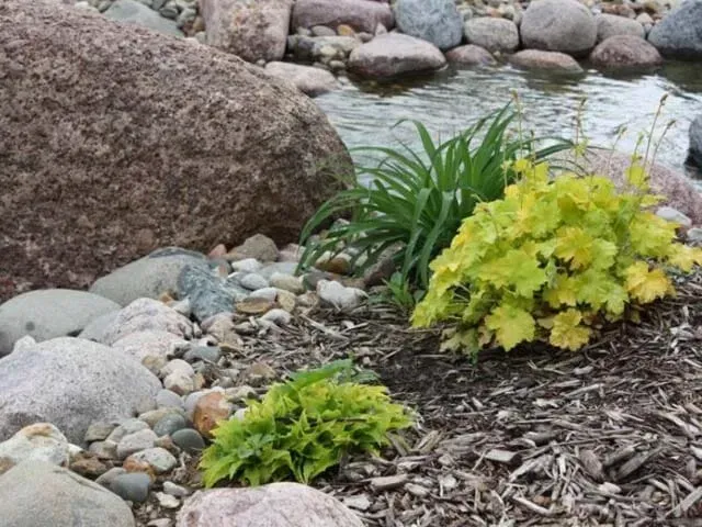 Stream - Orion, IL - C & J Landscaping