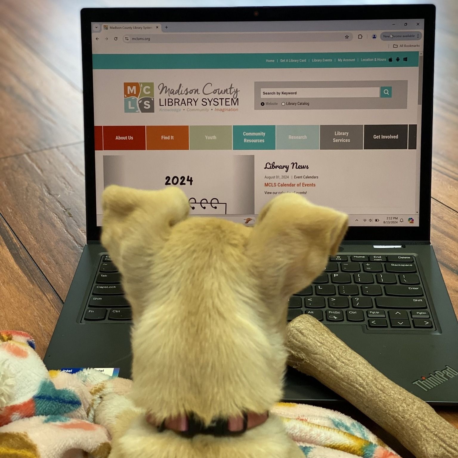 Small plush dog facing a laptop displaying a library website on a wooden desk