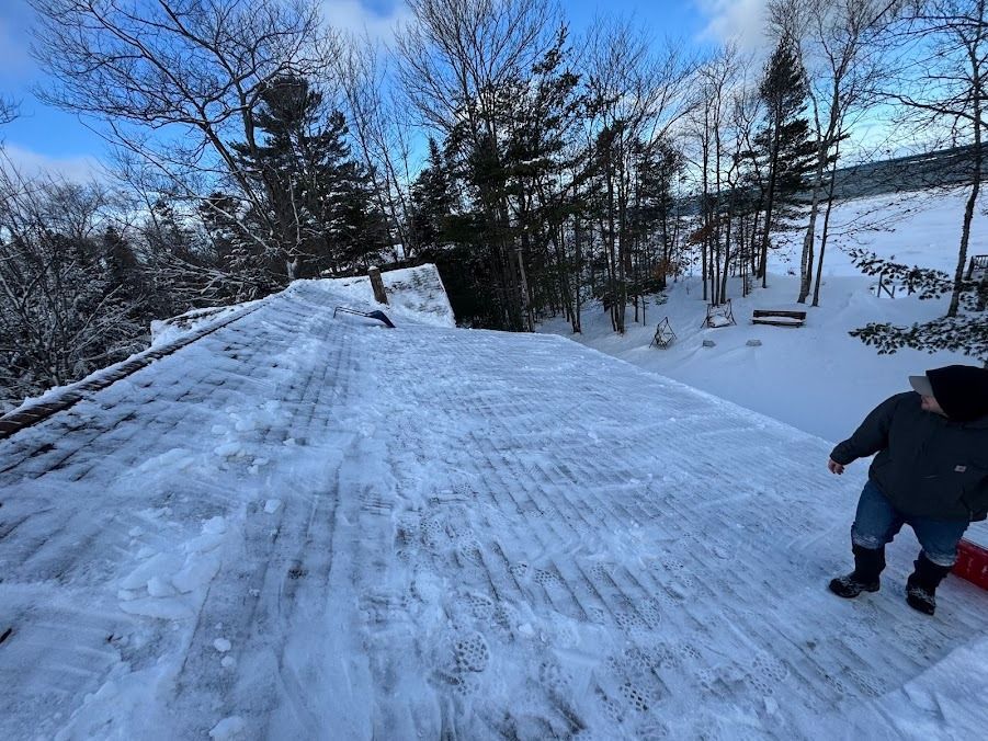 Snow-covered roof/bridge with bare trees; a person stands at the right edge under a blue winter sky.